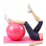 Leyaton 65 Cm Fitilli Pilates Topu Dayanıklı Yüksek Kalite Pilates Topu Pompa Hediye
