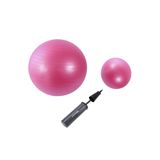 Leyaton 65 Cm Pembe + 25 Cm Pilates Topu 2'li Set PEMBE65SET