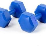 Leyaton 8 Kg Ağırlık Seti 8 Kg X 2'Li = 16 Kg Dumbell Set Dambıl Set