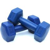 Leyaton Buffer 2 kg Dambıl Seti Ağırlık Seti 2 kg 2 Adet - 2 kg x 2 Adet