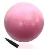 LEYATON- Büyük Boy Pilates Topu 65 Cm Pompa Hediyeli LYT-117