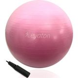 Leyaton Büyük Boy Pilates Topu 75 Cm Pompa Hediyeli