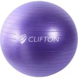 Leyaton Clifton Pilates Topu Büyük Boy 65 Cm Mor+ Pompa Hediyeli