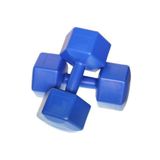 Leyaton Dambıl Seti Vınyl 10 Kg Ağırlık Seti 10 Kg X 2 Adet = 20 Kg Dumbell Set 10,5 Kg Vinyl Mavi