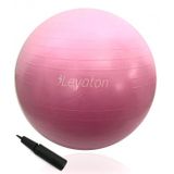 Leyaton Leyaton Büyük Boy Pilates Topu 65 Cm Pompa Hediyeli Lyt-117