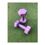 Leyaton Leyayon 1 Kg X 2 Adet Dambıl Vinyl Kaplı Dumbell Ağırlık - Mor Renk
