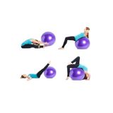 Leyaton Mor Pilates Topu 65 cm, Egzersiz Topu, Şişirme Pompası Seti