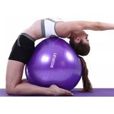 Leyaton Mor Renkli Kalın Büyük Boy Pilates Topu 65 cm Setli Kullanım Amaçlı