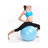 Leyaton Pilates Topu 65 Cm Mavi - Top Şişirme Pompası Dahil, Tek Ebat, 65CMMAVİ, MAVİ