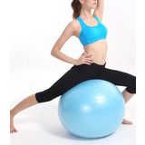 Leyaton Pilates Topu 65 Cm Mavi -Top Şişirme Pompası