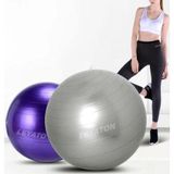 Leyaton Pilates Topu 75Cm Gri