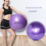 Leyaton Pilates Topu Kalın Büyük Boy Pilates Topu Mor Renk + Pompa 55 CM