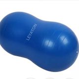 Leyaton Pilates Topu Mavi