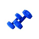 Leyaton Plastik 3 Kg X 2 Adet Fitness Dambıl Ağırlık Seti 3 Kg Mavi Dambıl Seti