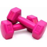 Leyaton Plastik Dambıl Seti Pembe Renk 1 Kg X 2 Adet