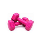 Leyaton Plastik Pembe Plastik Dambıl Seti 1 Kg 2 Adet Pembe Dambıl Seti 2 X 1 Kg