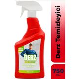 Leyhof Derz Temizleyici Leke Çıkarıcı