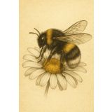 LIBELLE HEFT – Kariertes Notizbuch 5x5 mm | 6x9 Zoll | 80 Seiten: Künstlerisches Naturmotiv mit Libelle | Perfekt für Schule, Alltag und Naturfreunde