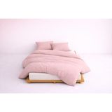 Lief Home Lüks Ranforce Kumaş %100 Pamuklu Çift Kişilik Nevresim Takımı 200X220 | Lastikli Çarşaf 180X200+25 - Pudra - 200 x 220 cm