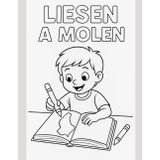 Liesen a Molen: no. 001