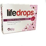 Life Ekinezya ve Zencefilli 24LÜ Pastil Drops