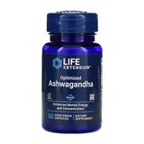 Life Extension Optimized Sensoril Ashwagandha - Healthy Stress Response Focus Memory Stress Relief - Vegetarian 60 Caps