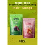Liforia 2’li Dondurularak Kurutulmuş Kuru Meyve - Sağlıklı Atıştırmalık - İncir Ve Mango Kurusu Freeze Dried
