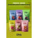 Liforia 6’lı Dondurulmuş Meyve - Sağlıklı Atıştırmalık - Mango Berry Mix İncir Kavun Çilek Frambuaz