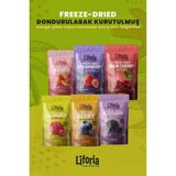 Liforia 6’lı Dondurulmuş Meyve - Sağlıklı Atıştırmalık - Mango Çilek Vişne Frambuaz Yaban Mersini Böğürtlen - 20 gr