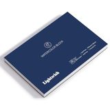 LIGHTWISH Sanatçı Suluboya Kağıt Bloğu, Soğuk Baskı 7,87 x 5,43 inç, 20 Yaprak, Dört Taraflı Kılavuz,%100 Pamuk, 63,5 kg/300GSM, Asitsiz, Islak, Kuru ve Karışık Teknik Resim için Sanat