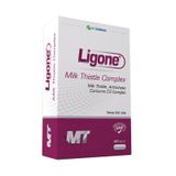 Ligone Milk Thistle Complex Artichoke 60 Kapsül 3x60 Kapsül