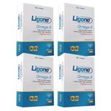 Ligone Omega 3 4x60 Kapsül Balık Yağı