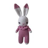 Lila Miniş Tavşan Uyku Arkadaşı Amigurumi Organik Oyuncak