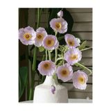 Lilac Home Yapay Çiçek 4’lü Gelincik Dalı 60 Cm Toz Pembe