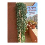 Lilac Home Yapay Çiçek 80 Cm Sarkan Dal Okaliptus Pastel Yeşili