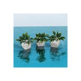 Lilac Home Yapay Çiçek DIY 3`lü Kübik Saksıda Podocarpus Bitkisi