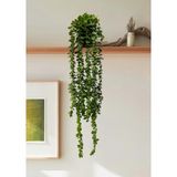 Lilac Home Yapay Çiçek Elmas Saksıda 80 cm Yoğun Yapraklı Koyu Yeşil Okaliptus Sarkıtı