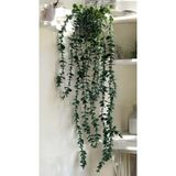 Lilac Home Yapay Çiçek Jumbo Yoğun Dallı 80 Cm Sarkan Okaliptus
