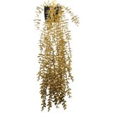 Lilac Home Yapay Çiçek Maxi Boy Siyah Saksılı Gold Okaliptus Sarkıtı