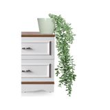 Lilac Home Yapay Çiçek Parlak Beyaz Saksıda Pastel Yeşil Okaliptus Sarkıtı