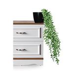 Lilac Home Yapay Çiçek Parlak Siyah Saksıda Yeşil Okaliptus Sarkıtı