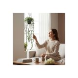 Lilac Home Yapay Çiçek Siyah Saksıda 80 Cm Yoğun Yapraklı Pastel Yeşili Okaliptus Sarkıt