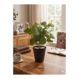 Lilac Home Yapay Çiçek Siyah Saksılı Yeşil Okaliptus