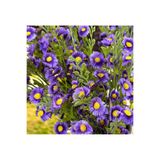 Lilac Home Yapay Yoğun Kır Çiçeği (Papatya) 50 Cm Mor