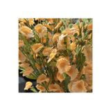 Lilac Home Yapay Yoğun Kır Çiçeği (Papatya) 50 Cm Turuncu