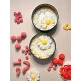 Lilac Mum Papatya Mum - 1 Adet