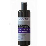 Lilamor 400 ml Biotin Kafein Dökülme Karşıtı Şampuan