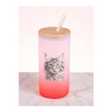 lili hediyelik Karakalem Kedi Baskılı 600 ml Cam Matara- Su Matarası, Suluk Matara, Cam Pipetli Matara