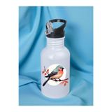lili hediyelik Sevimli Kuş Baskılı Matara Suluk 600 ml - Sporcu Suluğu, LH982376492386523523234