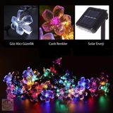 lilibeaty Solar 30 Ledli Çiçekli RGB Bahçe Aydınlatma Dekorasyon Güneş Enerjili